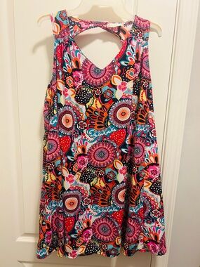 Altar’d State Vibrant Floral Sleeveless Swing Dress -